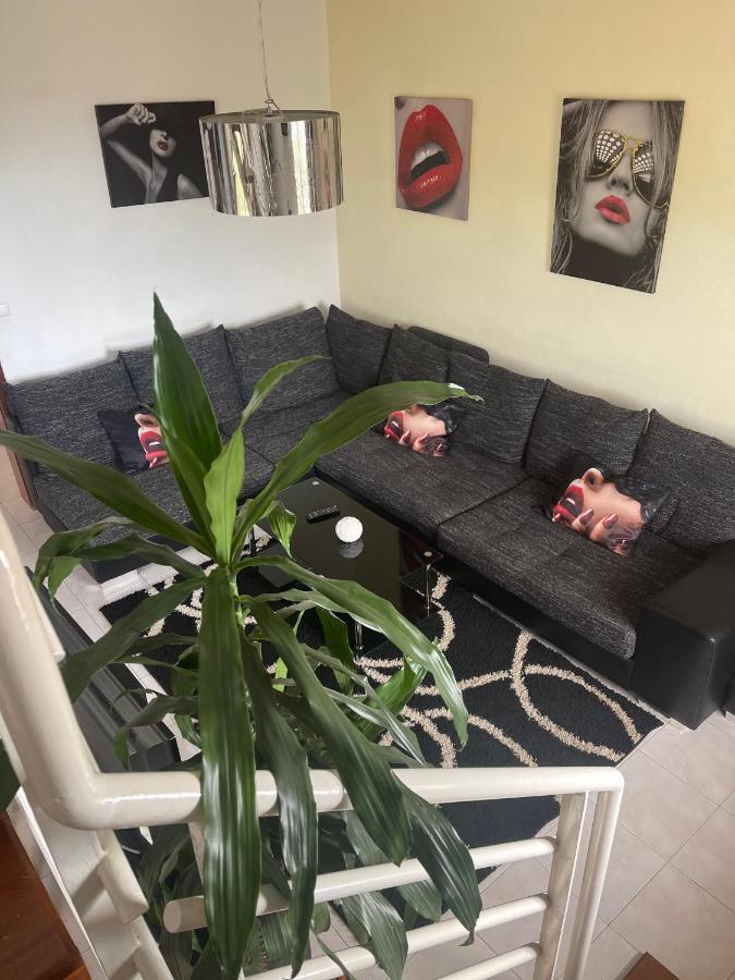 Sunset House Otel Arco da Calheta  Dış mekan fotoğraf